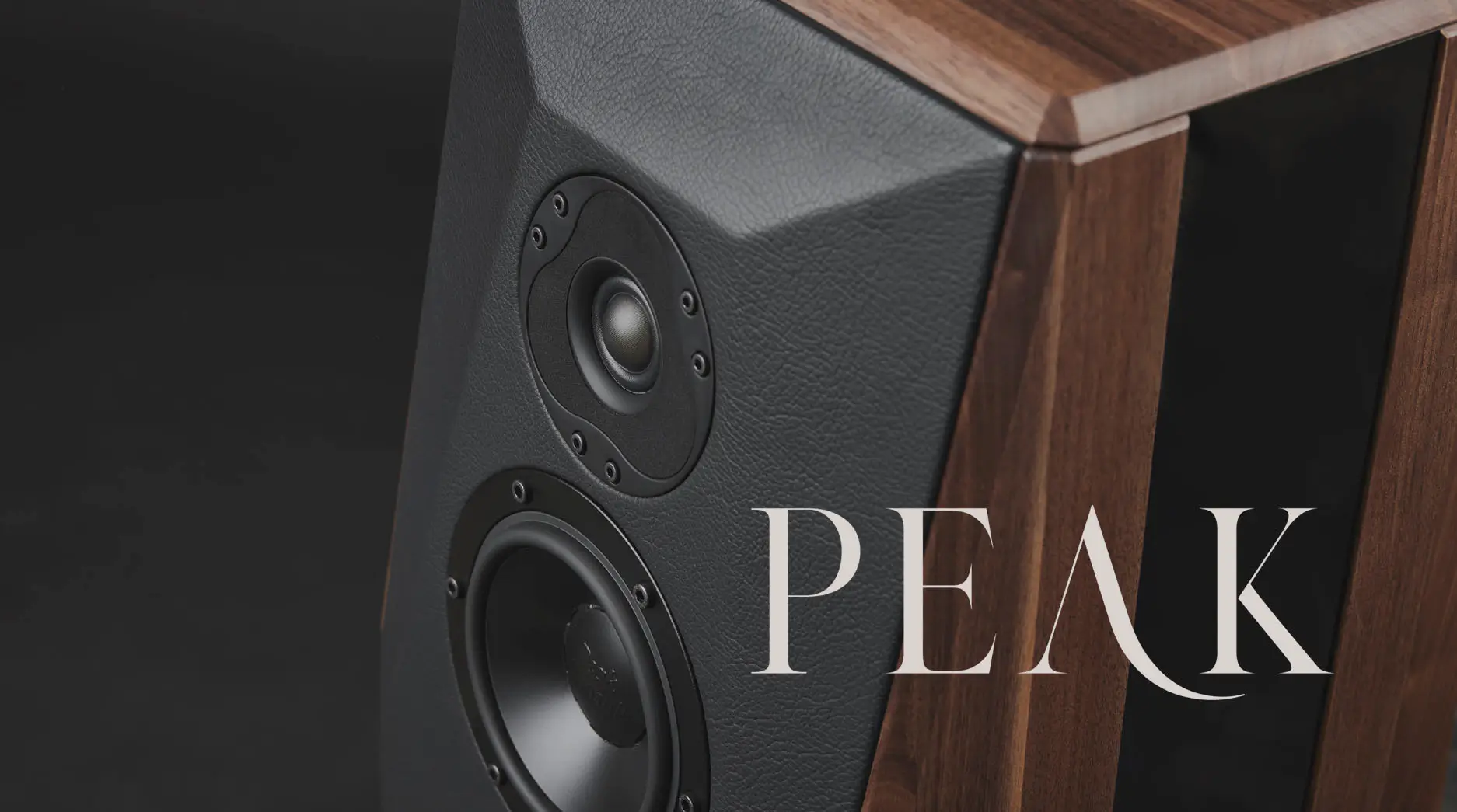 Review Peak Consult Sinfonia Vloerstaander